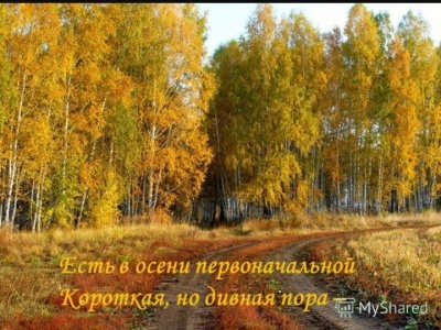 Конкурс чтецов на тему